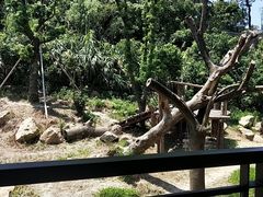 -宁波野生动物园