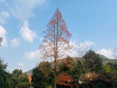-杭州萧山国际机场
