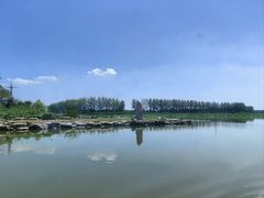 -微山湖红荷湿地景区