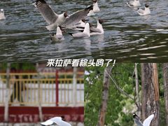 -宗角禄康公园