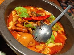 黑松露牛肝菌焖牛蛙-云海肴·汽锅鸡·云南菜(美罗城店)