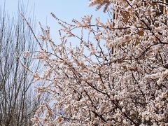-西青郊野公园