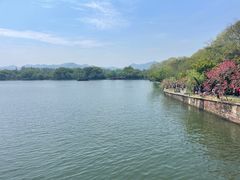 -杭州君悦酒店