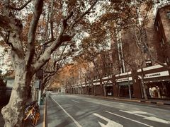 -上海花园饭店