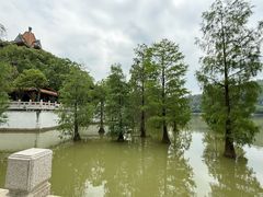 -顺峰山公园