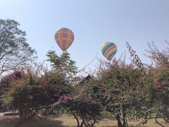 -中国科学院西双版纳热带植物园