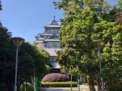 -金鸡湖桃花岛