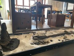 -VESH COFFEE(定西路店)