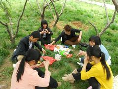 -洛阳郁金香牡丹园