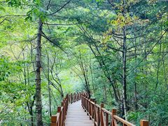 -青峰峡国家森林公园