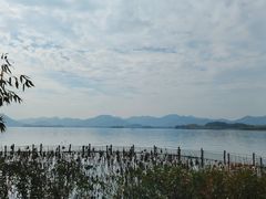 -湖畔居茶楼(湖滨店)