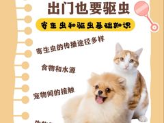 -艾贝尔宠物医院 ·中兽医·宠保定点(北门桥店)