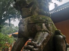 -天台山景区