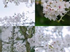 -杭州少年儿童公园