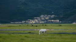 -纳帕海依拉草原