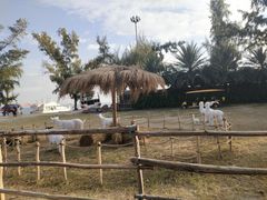 -玫瑰海岸文化旅游度假区