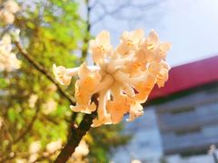 -中国浦东干部学院