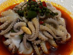 -圆苑(静安寺店)