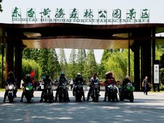 -黄海国家森林公园