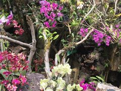 -南通洲际绿博园