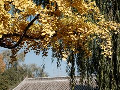 -承恩寺