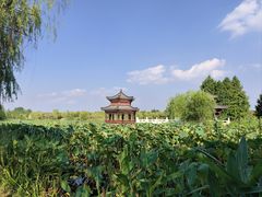 -南湖国家城市湿地公园