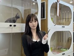 -青奢宠物·青奢猫舍