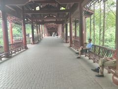 -重庆彩云湖湿地公园