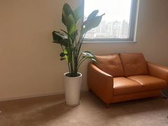 -壹点灵·心理咨询中心(中山公园店)