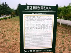 内景-茂陵博物馆