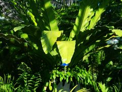 -国家植物园南园