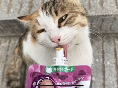 -宝通禅寺