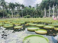 -中国科学院西双版纳热带植物园
