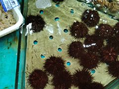 -天天渔港(杏林街店)