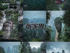 -张家界天门山国家森林公园
