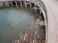 -茂陵博物馆