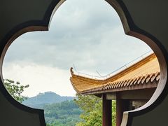 -深圳仙湖植物园
