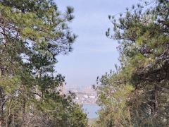 -青龙山国家森林公园