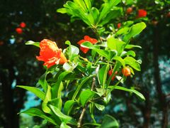 -太平桥南小区南区