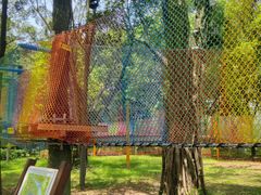 -东南花都花博园