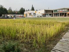 -前小桔亲子创意农场·草莓采摘·露营烧烤