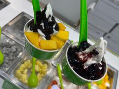 -Salud撒露欧洲冻酸奶(蓝色港湾店)