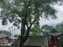 -五台山风景区