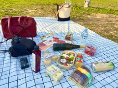 -上海共青森林公园