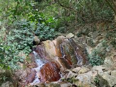 -梧桐山风景名胜区