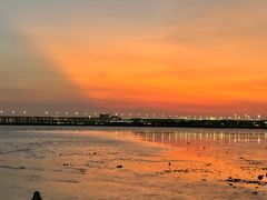 -宝安西湾红树林湿地公园
