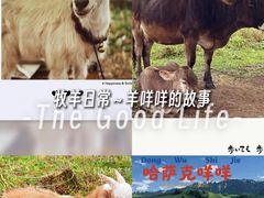 -新疆那拉提国家旅游度假区