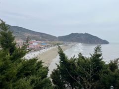 -大鹿岛