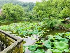 -杭州雅谷泉山庄酒店-餐厅
