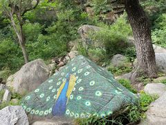 -黑龙潭风景区